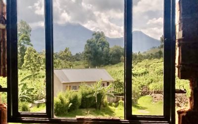 More Windows, doors and glazing – December 2025